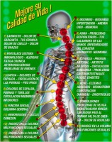 Por qué cuidar nuestra columna vertebral